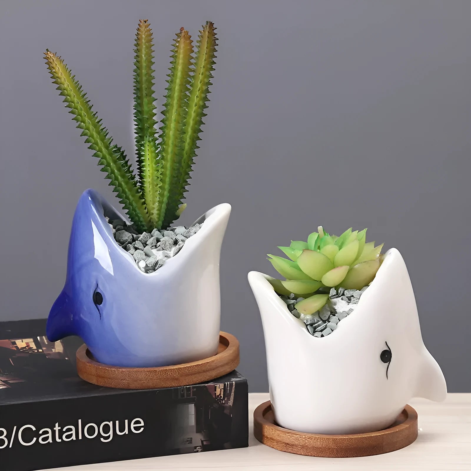 Cartoon ceramic succulent pot with drainage hole in blue on a desktop with small plants