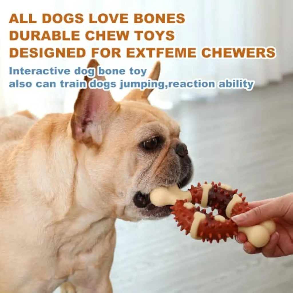 A natural rubber bone-shaped dog molar chew toy for teeth cleaning, shown in two sizes.