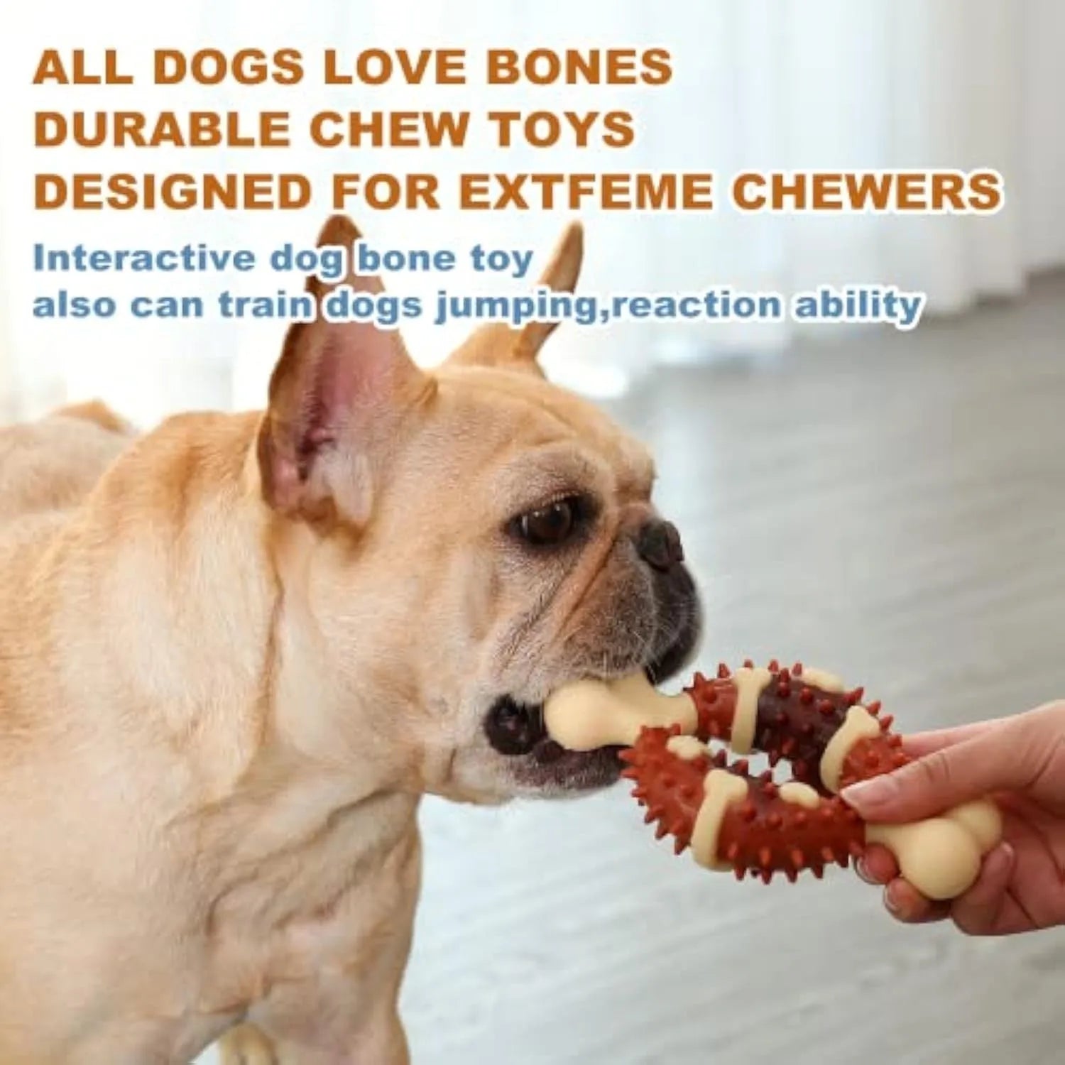 A natural rubber bone-shaped dog molar chew toy for teeth cleaning, shown in two sizes.