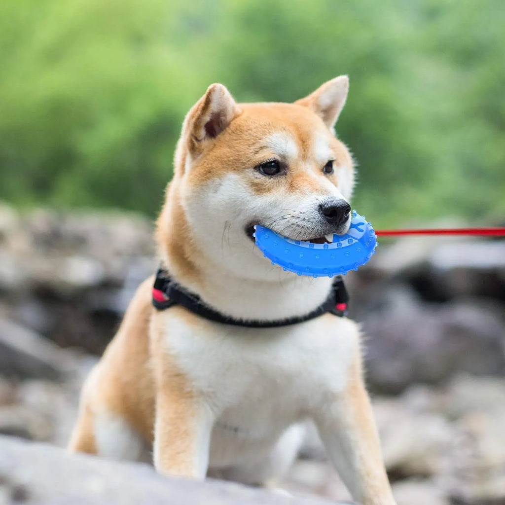 Freezable pet teether cooling chew toy for dogs in bones and circles shapes