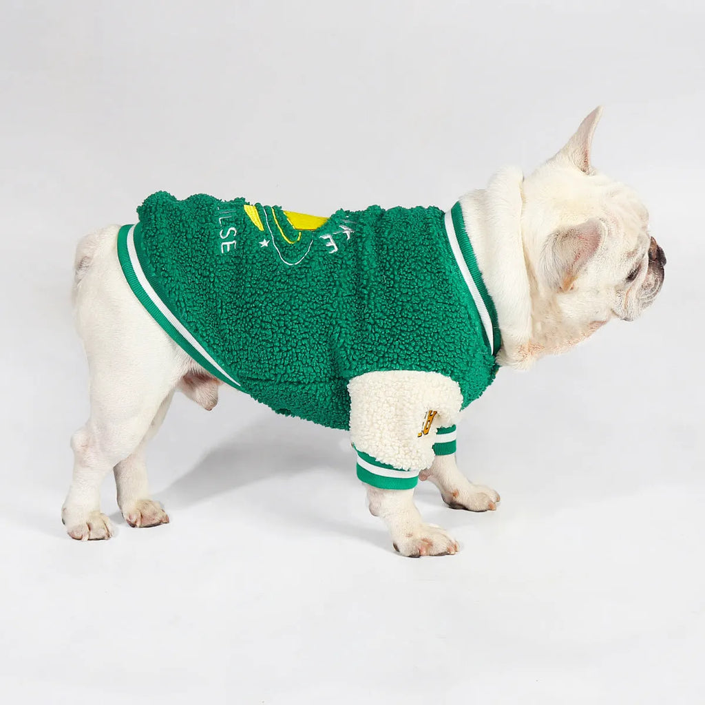 Green fleece-lined dog winter coat shown on model dog