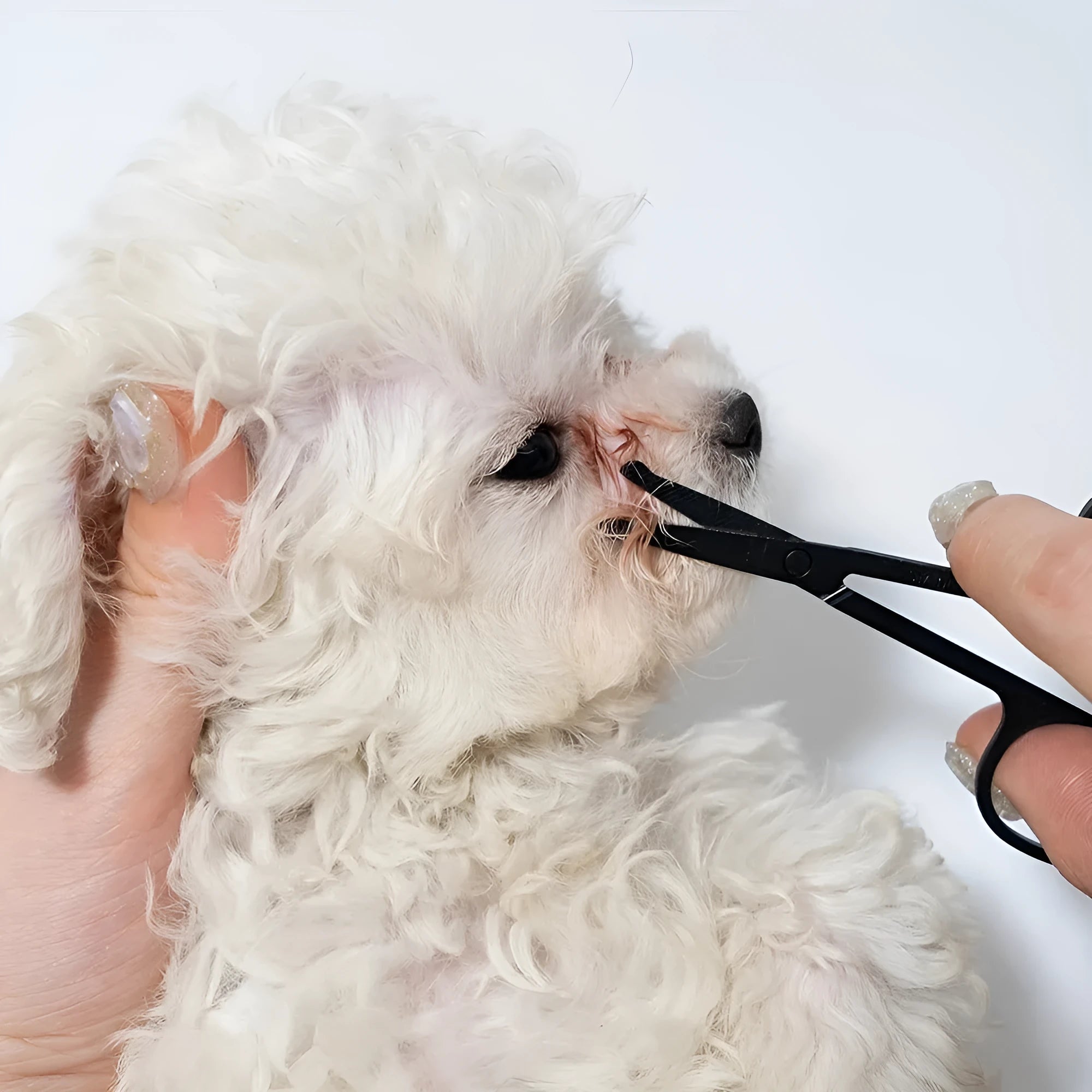 Black pet grooming brush with soft silicone bristles and comb section for dogs and cats