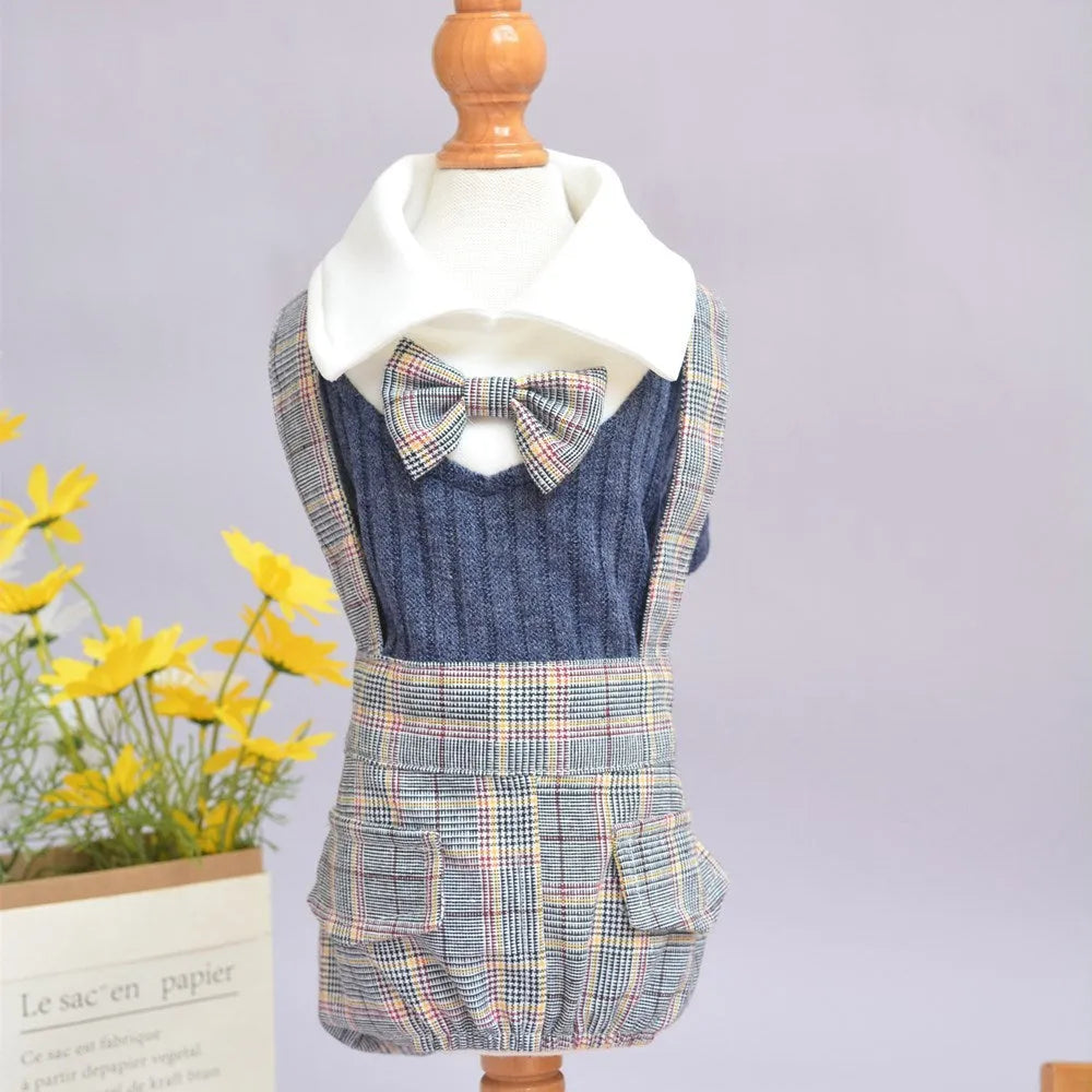 A small dog wearing a dark blue cotton shirt, showing the standard shirt fit on a pet.
