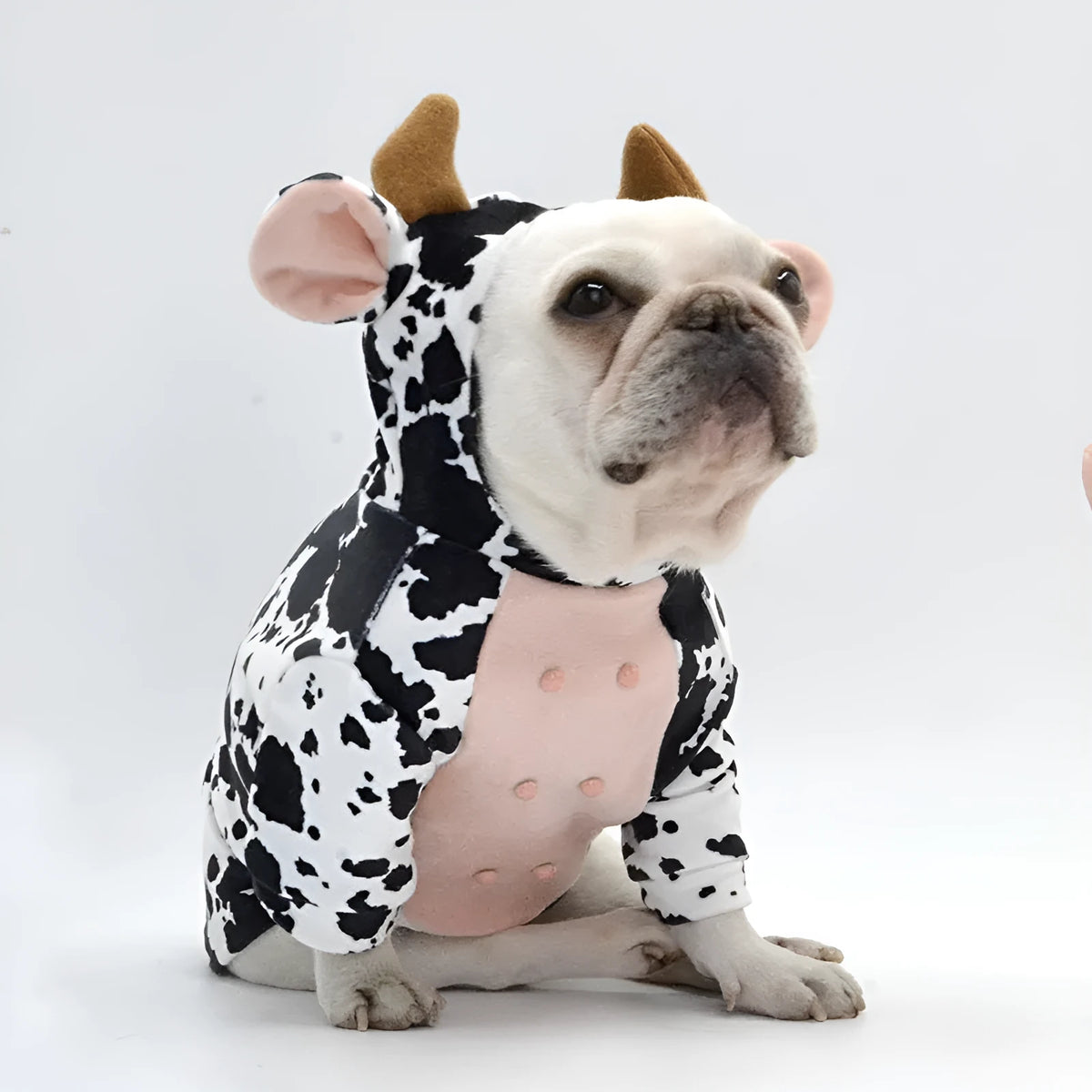 Cow shape dog clothes in black and white velvet, shown for sizes S, M, and L pet outfit