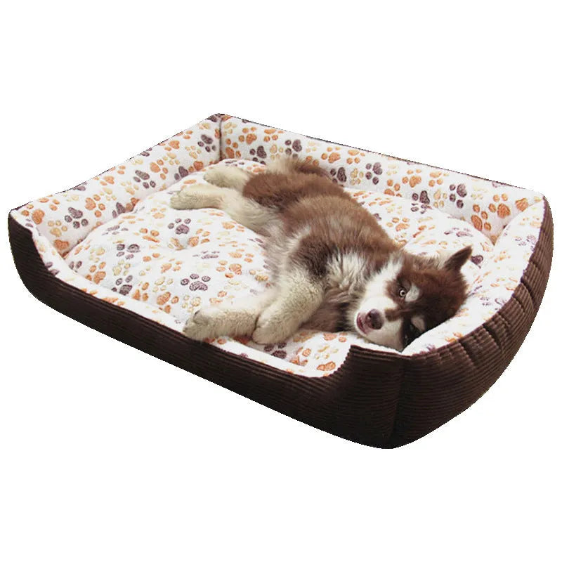 Beige plush pet bed with raised sofa-style edge and removable cushion for small dogs