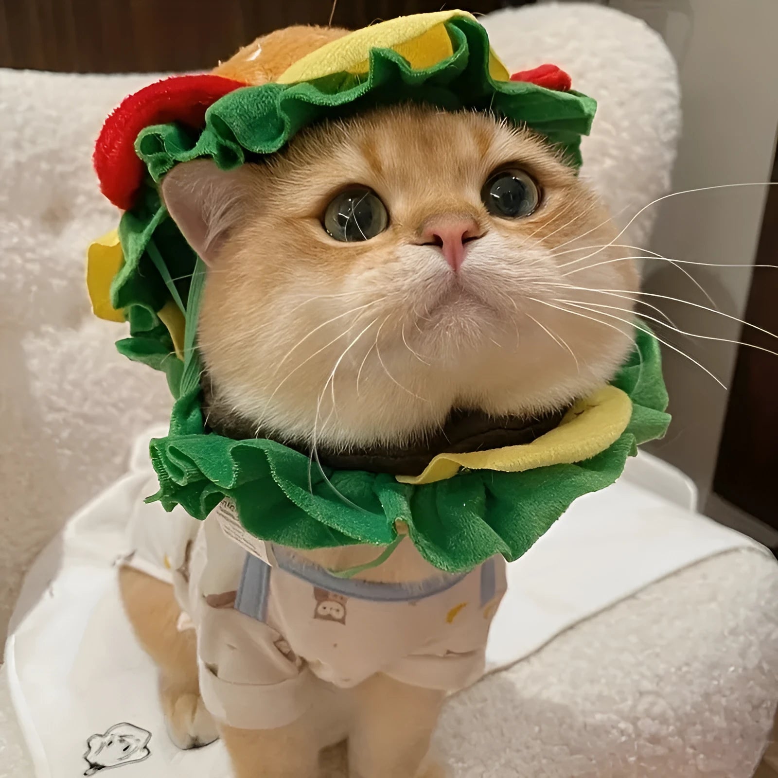 Cartoon burger-shaped headdress with cat cone silhouette on a feline, showing adjustable neck strap.