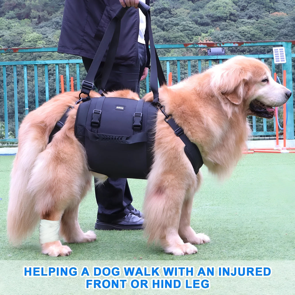 Black Oxford cloth dog support harness for rehabilitation and controlled walking, showing breast strap design.
