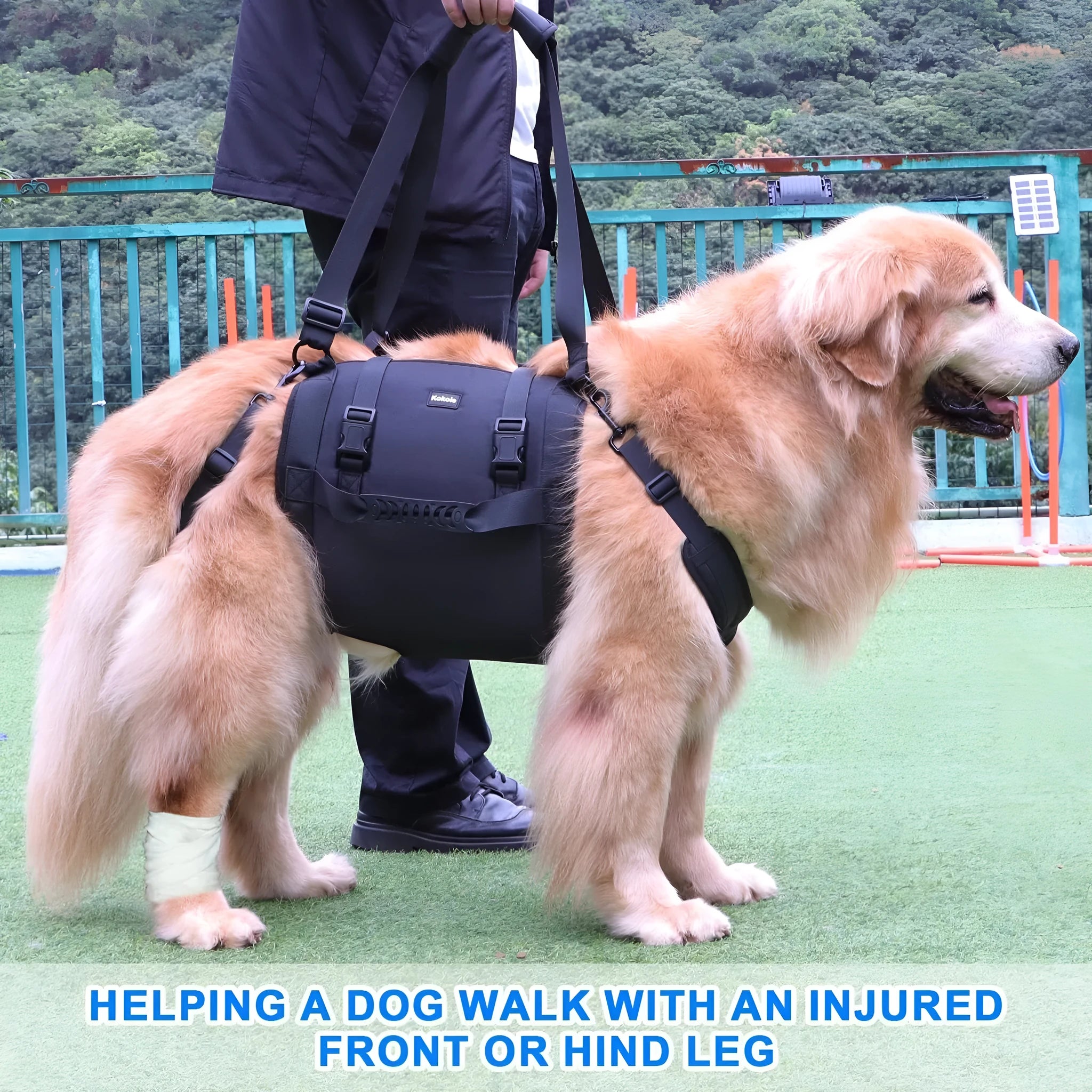 Black Oxford cloth dog support harness for rehabilitation and controlled walking, showing breast strap design.