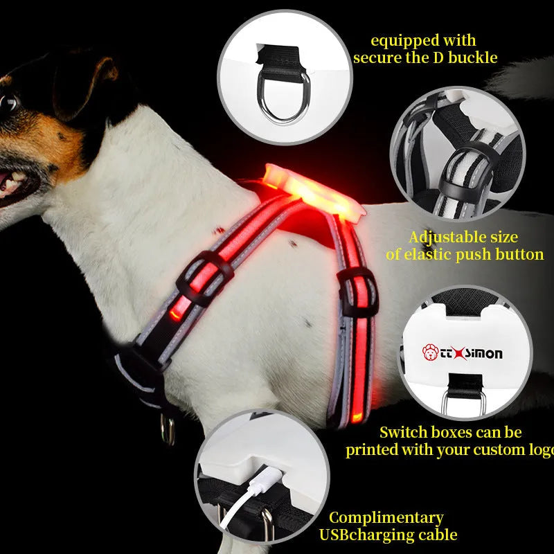 Nylon dog lead with luminous seven-colour strap and explosion-proof handle in adjustable sizes