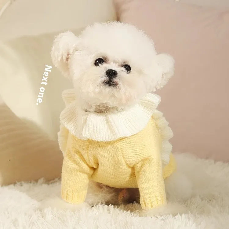 Yellow acrylic dog sweater with Fairy Dress pattern on a small breed dog.