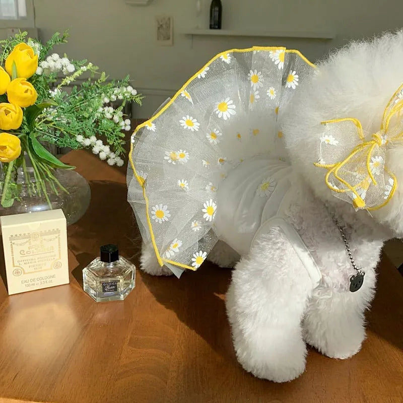 Yellow daisy patterned polyester dog summer clothes shown in size options from XS to XL