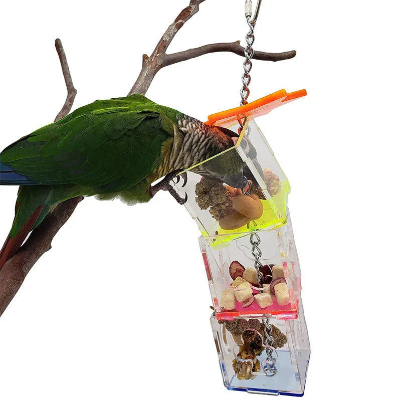 Clear acrylic parrot foraging toy measuring 5x5x32cm with food container design