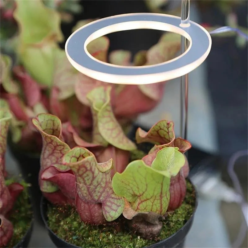 USB-powered full spectrum LED plant grow light with acrylic stick, shown in yellow light.