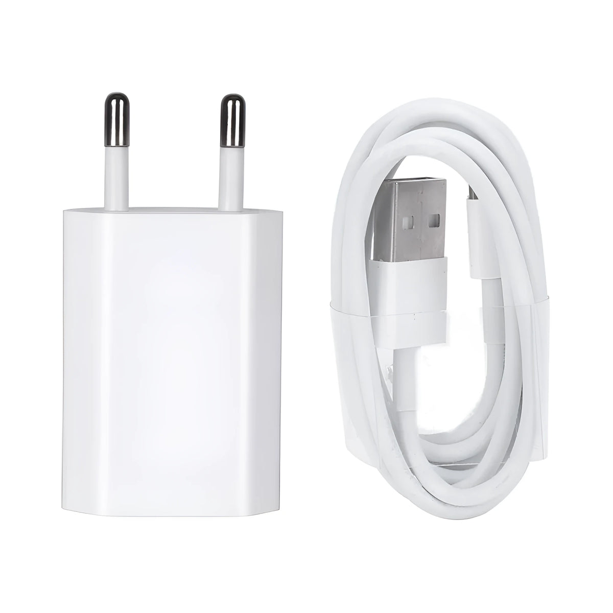5V 2A USB travel charger for iPhone and iPad models with USB interface