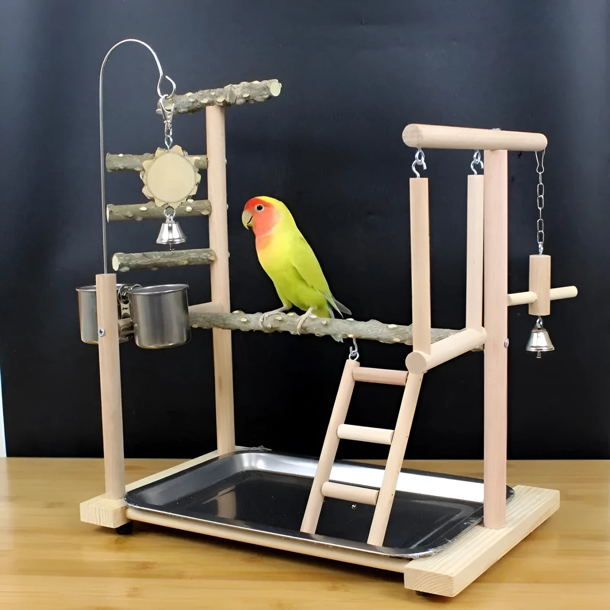 Parrot play stand with Pepper Wood pole and multiple metal platforms.