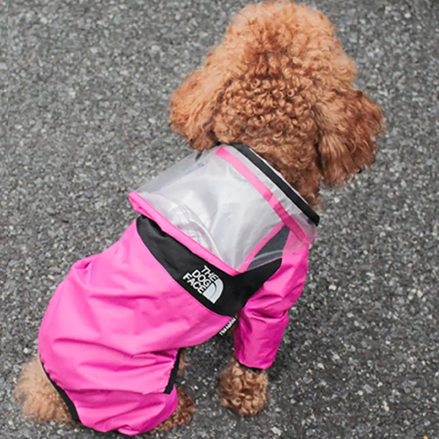 Green long-legged dog rain poncho with transparent brim on a dog