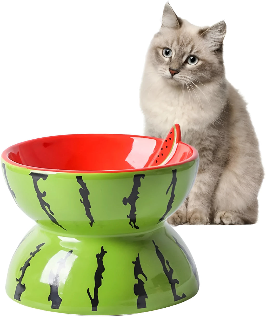 Ceramic tilted and elevated cat food bowl in orange pattern with non-slip base.