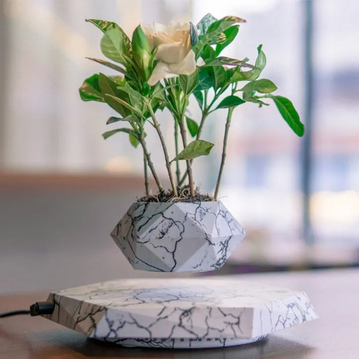 Magnetic levitating plant pot floating in mid-air with marbling colour design