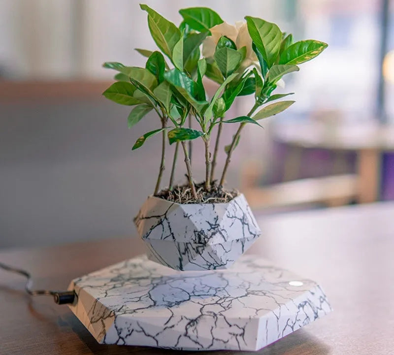 Magnetic levitating plant pot floating in mid-air with marbling colour design