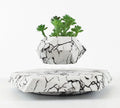 Magnetic levitating plant pot floating in mid-air with marbling colour design