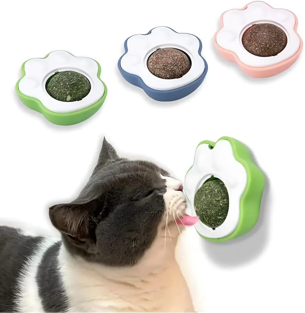 Four assorted coloured catnip balls for feline dental care and interactive play