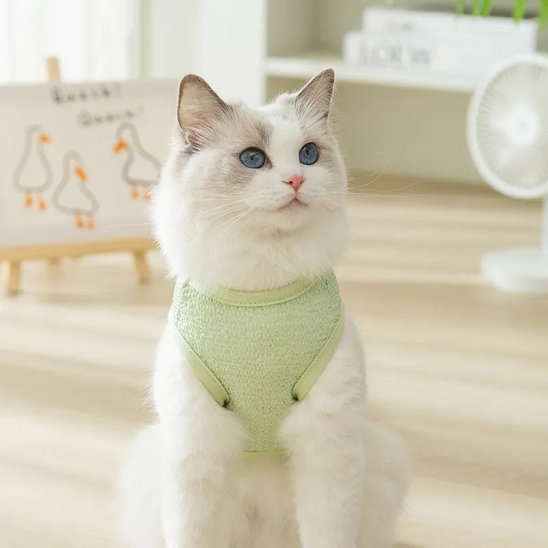 Green cat clothes with hollowed-out bear patch design made from knitted fabric