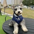 Blue and grey-white pet sweater with reflective letters for cats and dogs