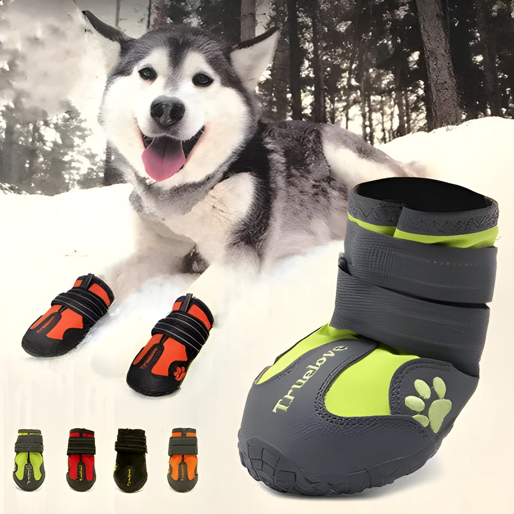 Big dog shoes with double velcro closure, waterproof and luminous, sizes 1 to 8, colours black green orange red