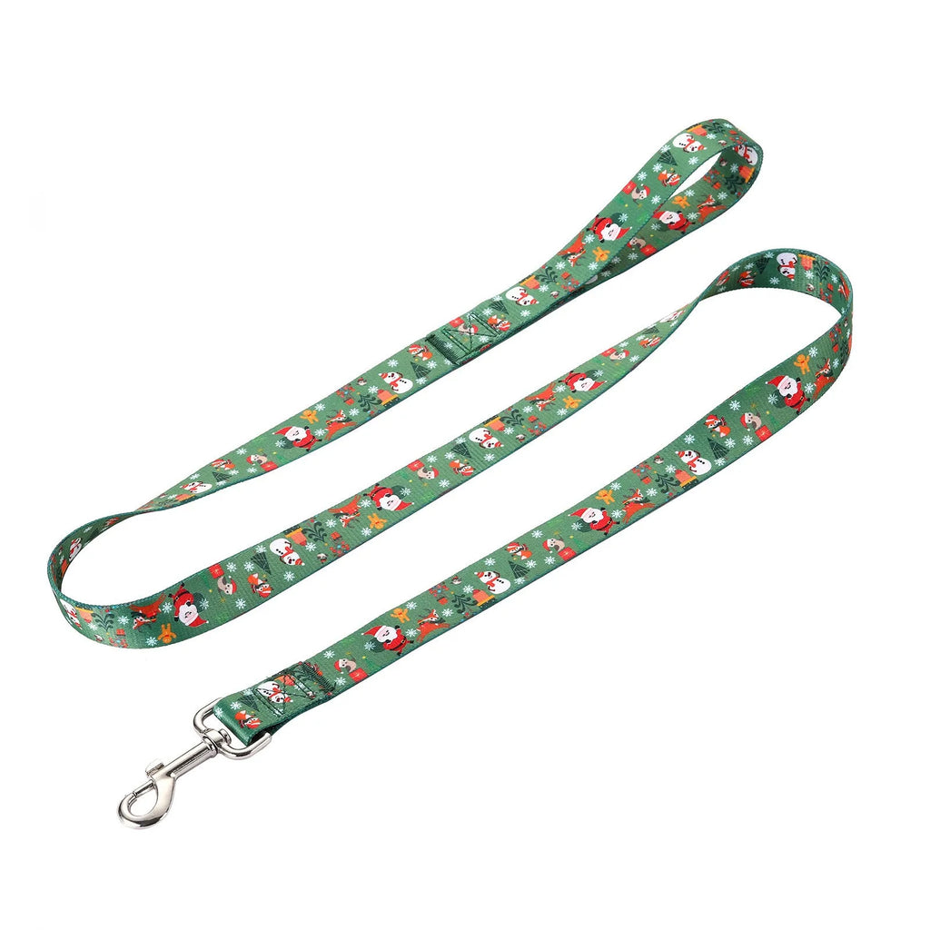 Christmas red polyester dog collar and hand holding rope set on a festive background