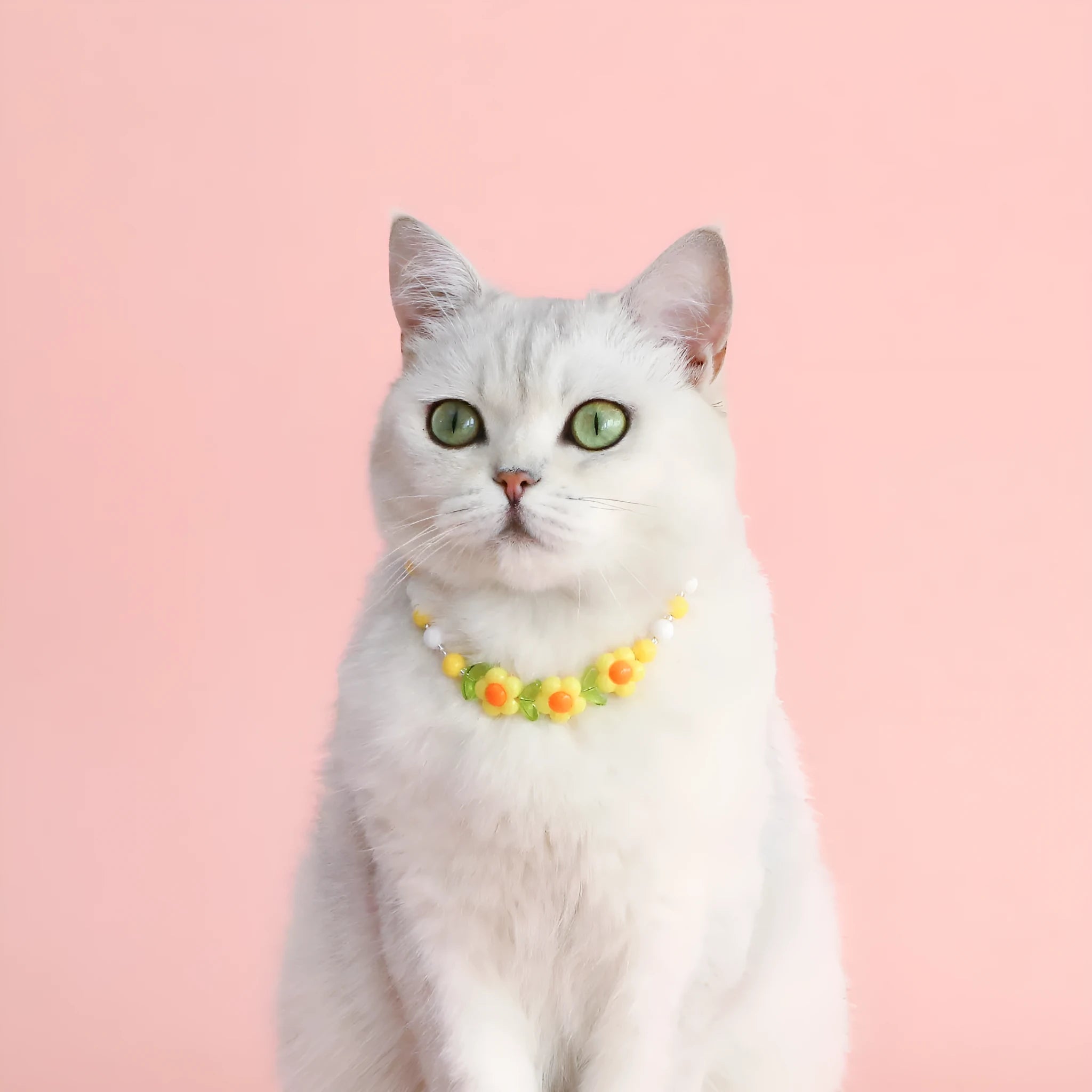 Adjustable colourful beads plastic cat necklace in peach, rainbow and small flower designs