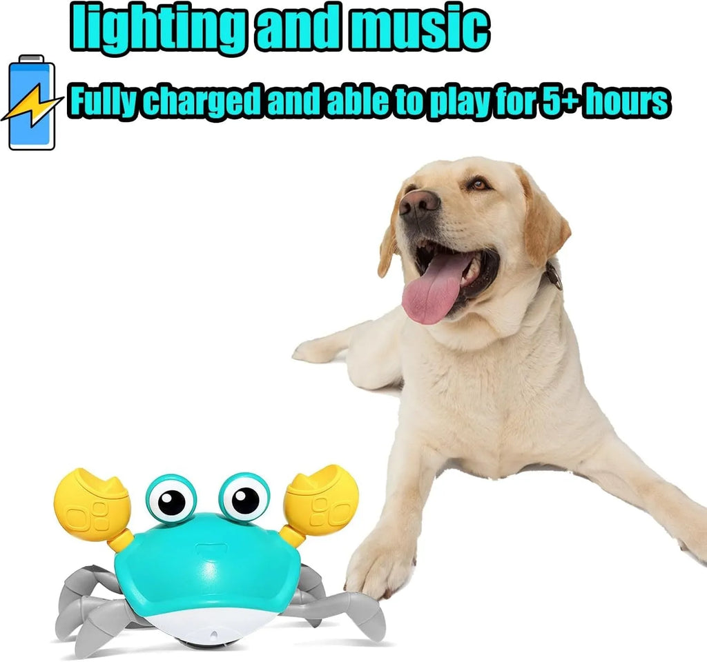 Blue crawling crab dog toy with obstacle avoidance sensors for interactive pet play