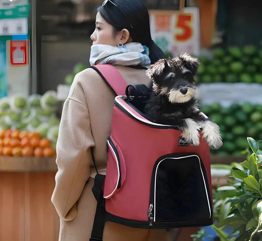 Blue pet dog backpack in Oxford cloth and hexagonal mesh for small pets up to 15 jin
