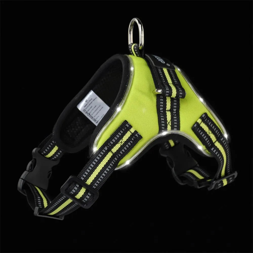 Glowing dog collar in 1000D Oxford with LED lights and reflective strips, adjustable strap, available in Black, Green and Orange