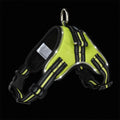 Glowing dog collar in 1000D Oxford with LED lights and reflective strips, adjustable strap, available in Black, Green and Orange