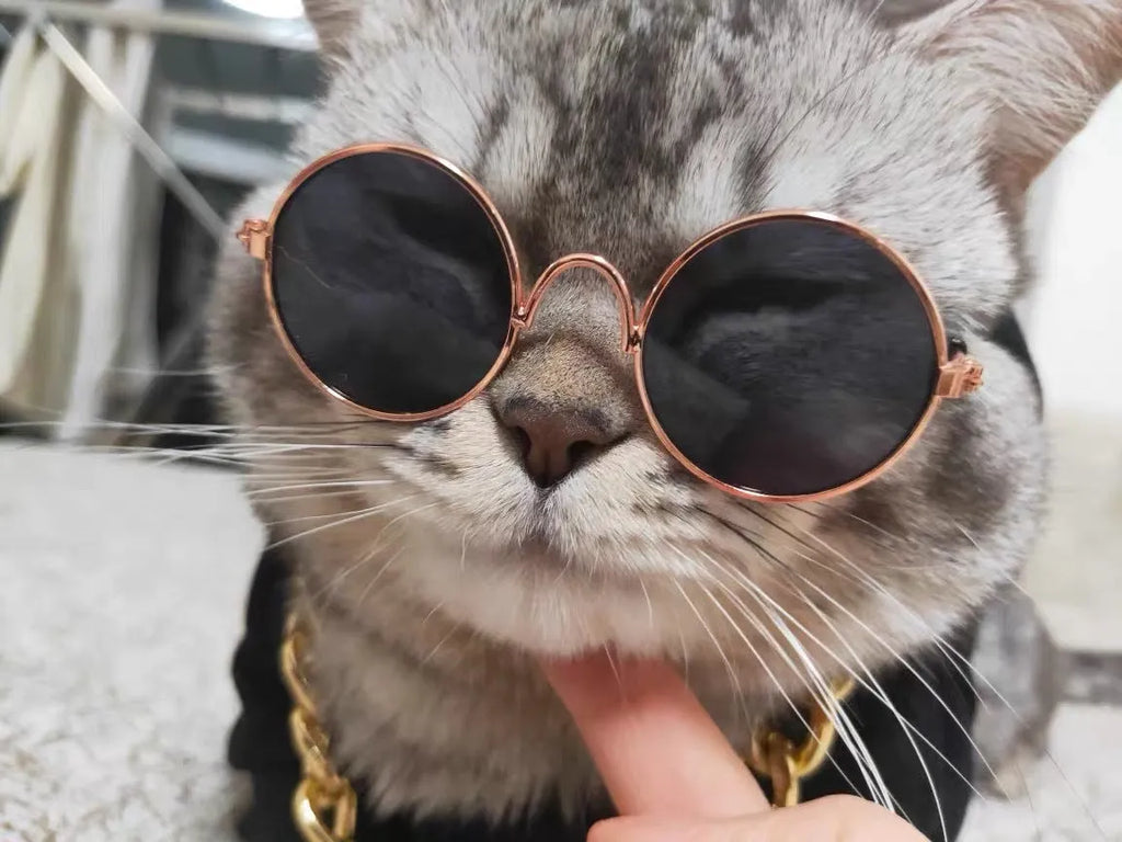 Plaid cat lion headgear with gold chain detail and sunglasses accessory, shown in XS S M L sizes for pet photo props