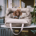 Green waterproof removable dog car nest bed with sides, shown on a car boot floor.
