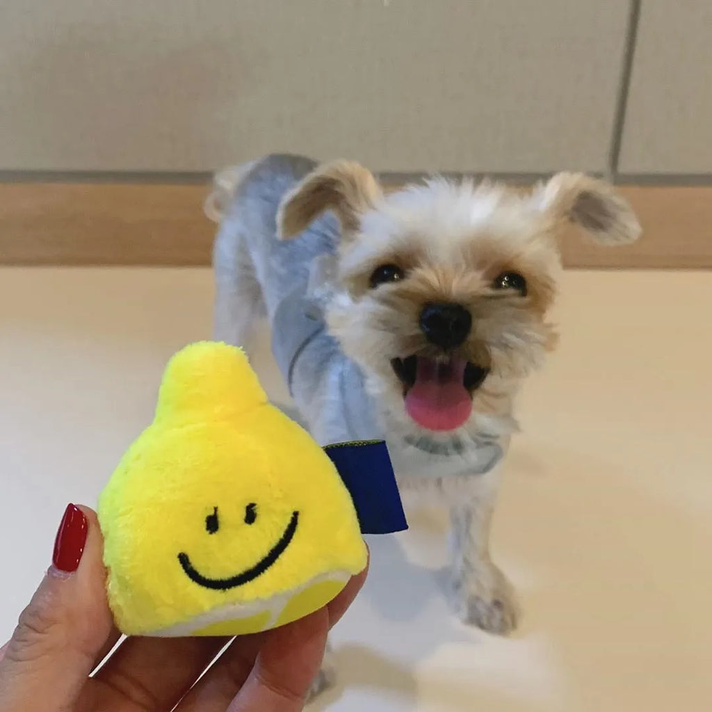 Yellow plush pet voice toy shaped like a lemon tea cup with squeaker and side snack pocket