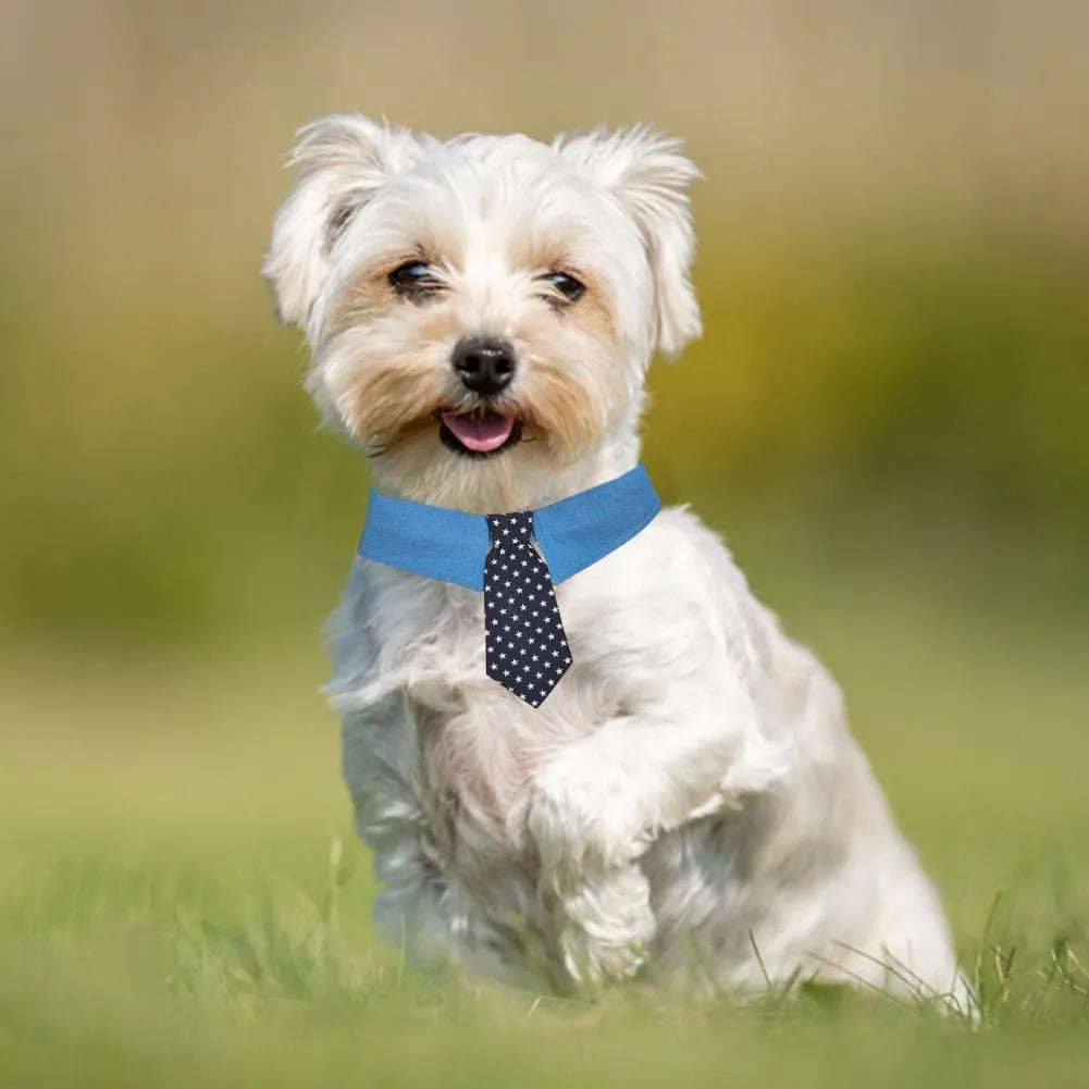 Denim dog collar with star pattern and attached bow accessory on adjustable fastener tape