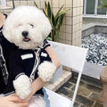 White Korean style dog sweater with pearl collar on a small dog, showing Princess design