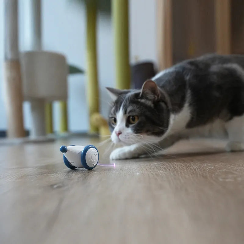 Blue and yellow automatic electric cat mouse toy with USB charging, 60x50x36mm body and 135mAh battery