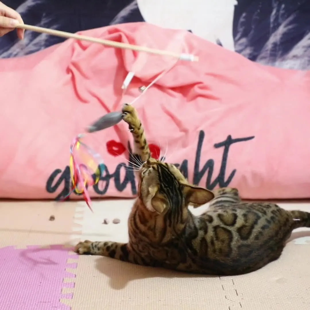 Colourful cat wand toy with ribbons, catnip fish, bell, and wooden handle.