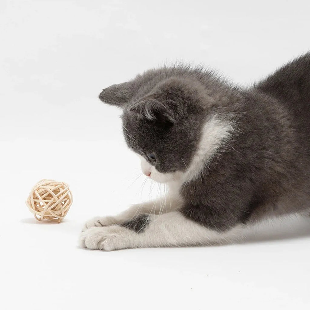 Two cat toys: rattan ball and faux feather ball with bell in primary colours