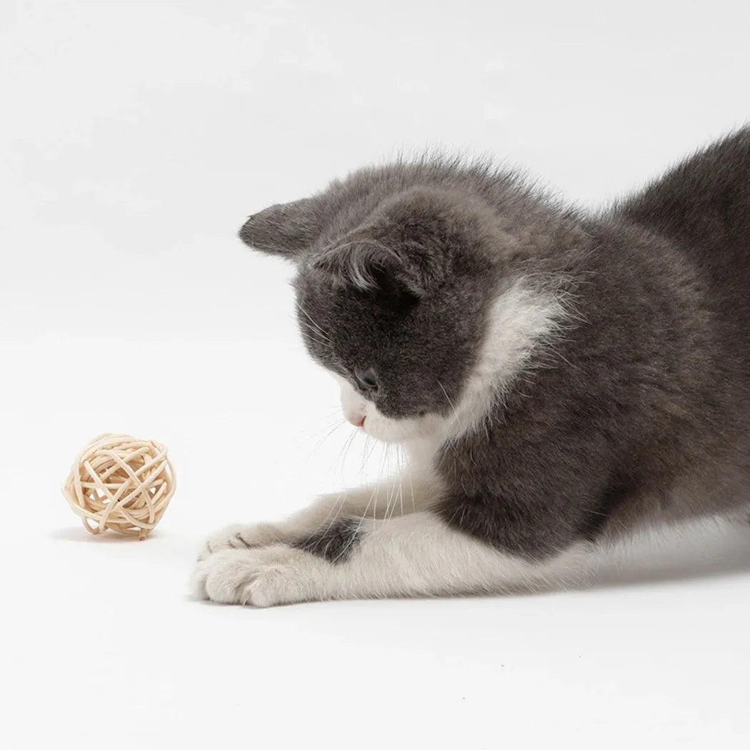Two cat toys: rattan ball and faux feather ball with bell in primary colours