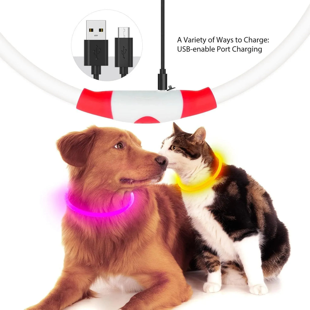 Blue USB-rechargeable LED dog collar glowing on a dog's neck, showing the 70cm adjustable TPU strap.