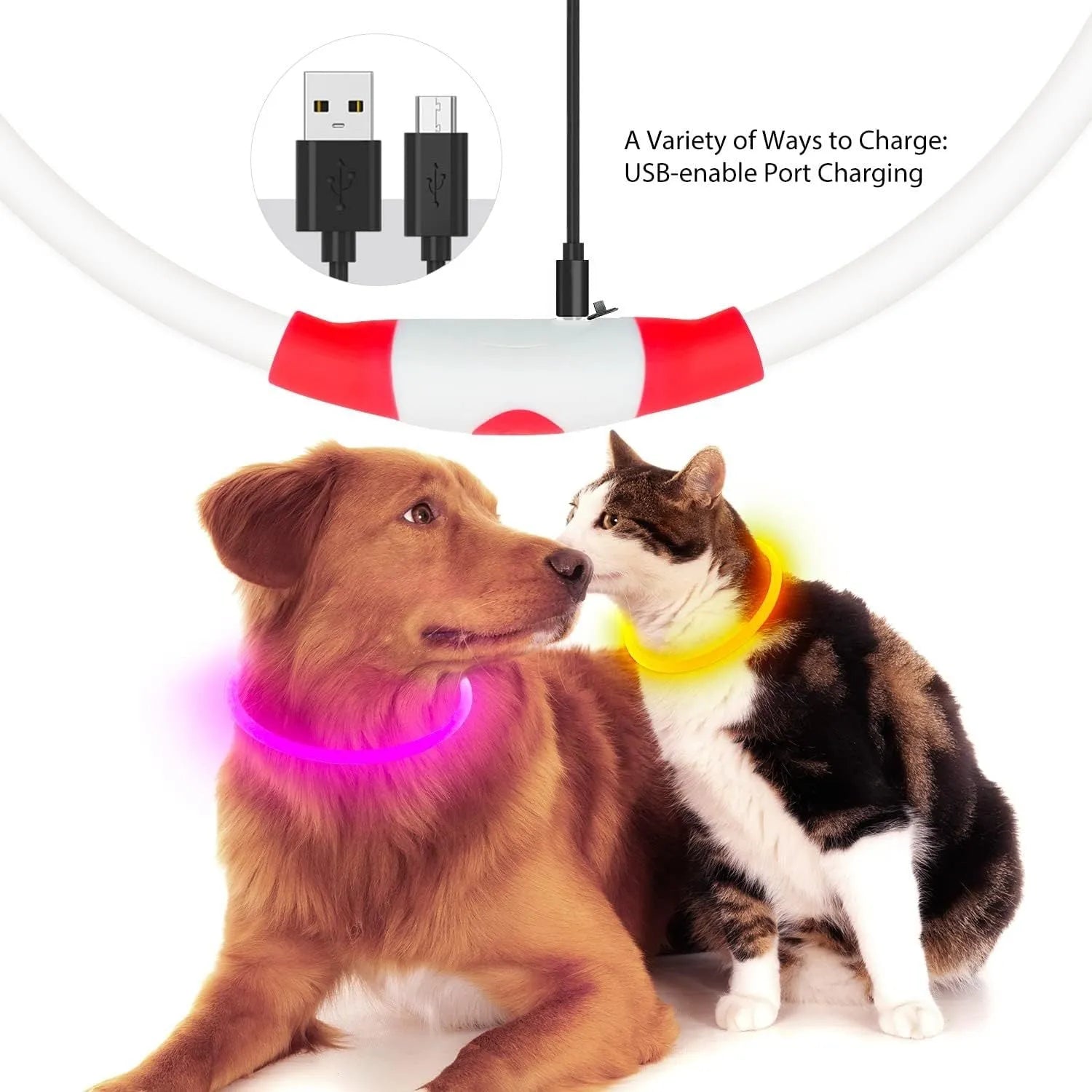 Blue USB-rechargeable LED dog collar glowing on a dog's neck, showing the 70cm adjustable TPU strap.