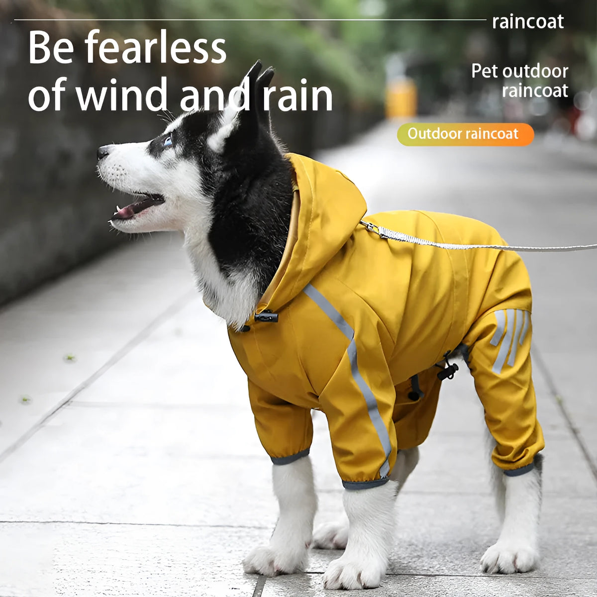 Big dog raincoat cape-style with reflective stripe in pink, blue, yellow, or purple, sizes S to XXL.
