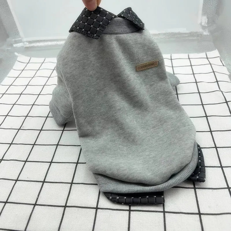Grey dog wearing thin velvet sweater with detachable collar hoodie