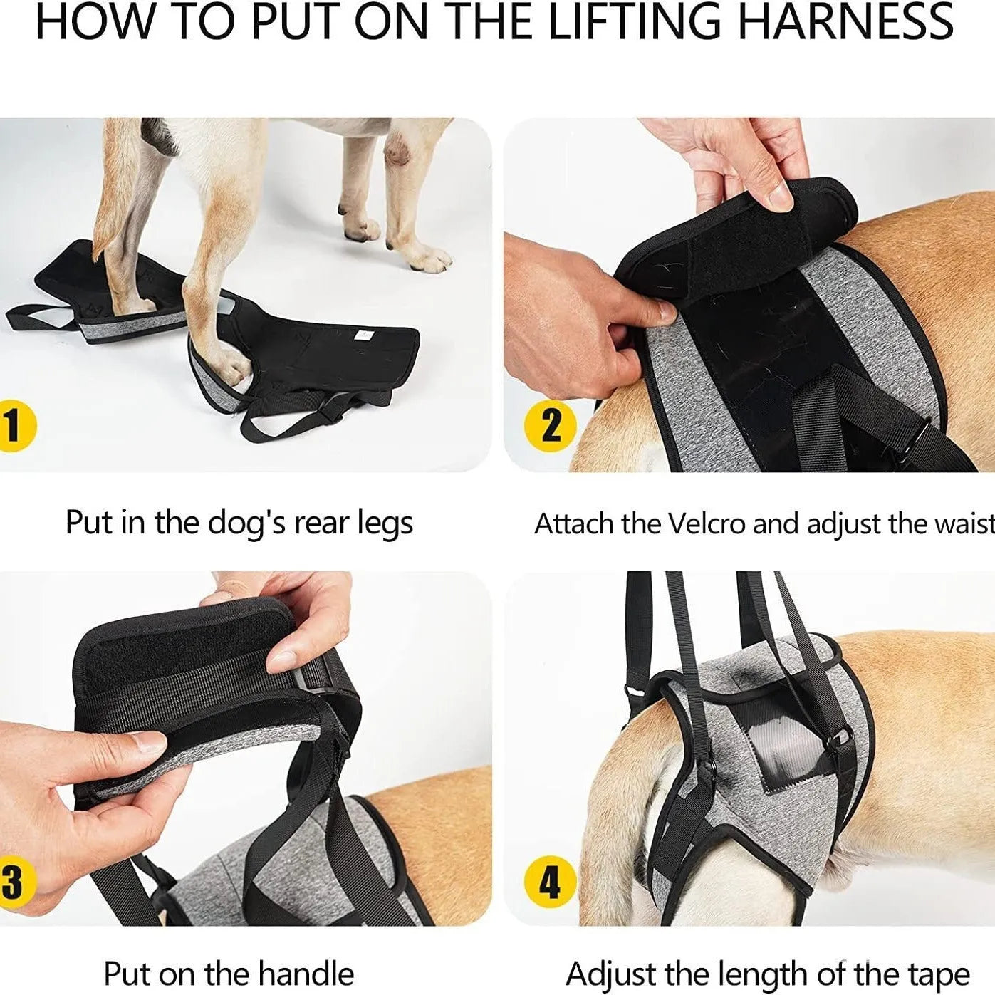 Grey neoprene dog rear leg recovery belt showing adjustable waist and thigh straps on a size chart.