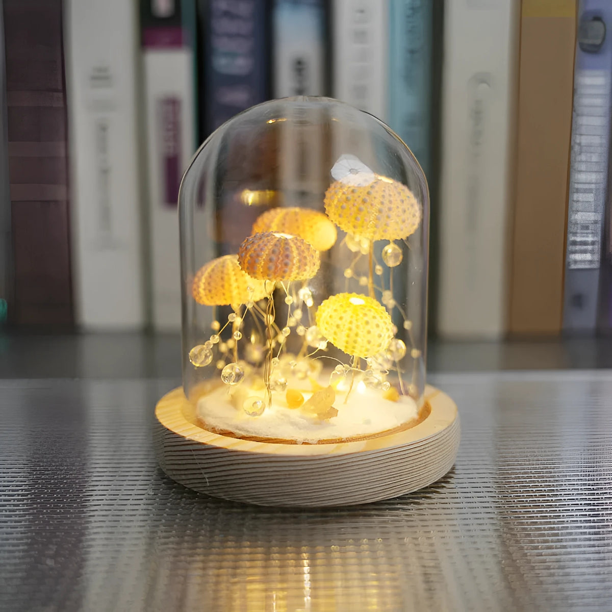 Handmade sea urchin shell jellyfish lamp with cylindrical glass cover and built-in battery, small night lamp