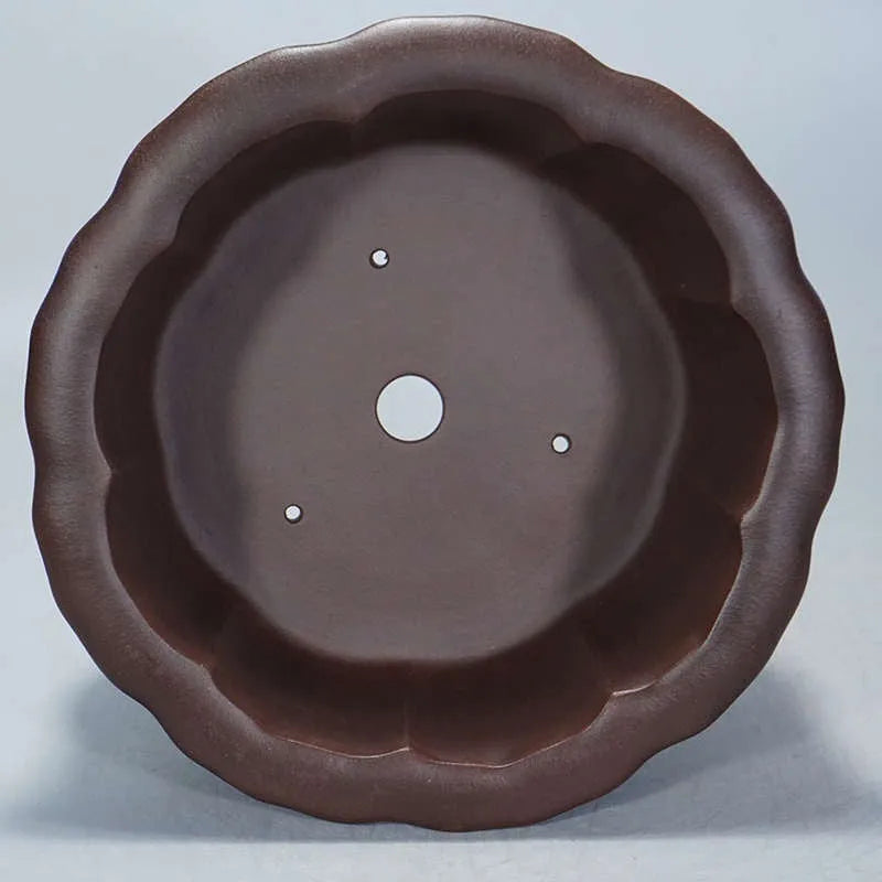 Purple sand succulent flowerpot with Chinese classical petal basin design measuring 37x37x20cm